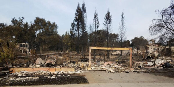 Sonoma Burn Lots